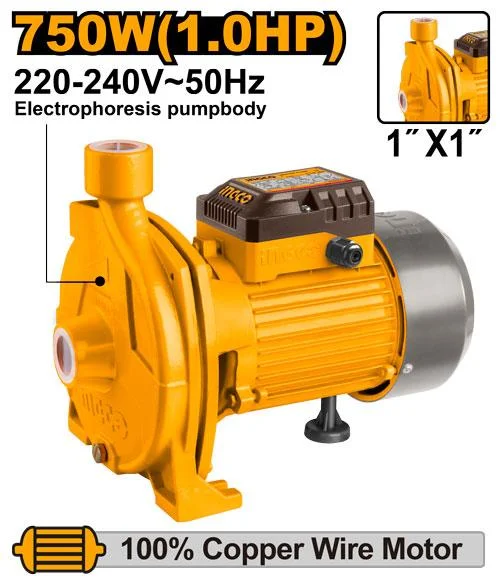 Pompe périphérique 750W INGCO